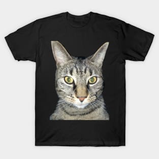 Closeup Tabby T-Shirt